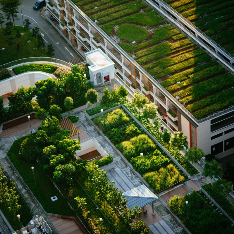Cover Image for Volunteering Untapped NYC: Battery Urban Farm (August Event)
