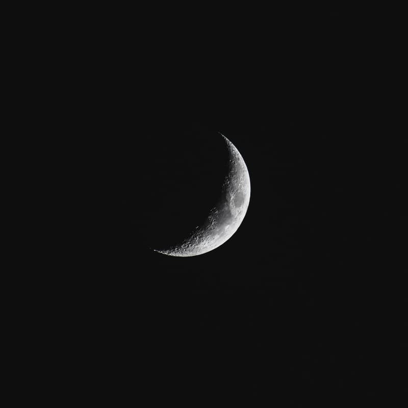 Cover Image for Rosh Chodesh Club: Nissan