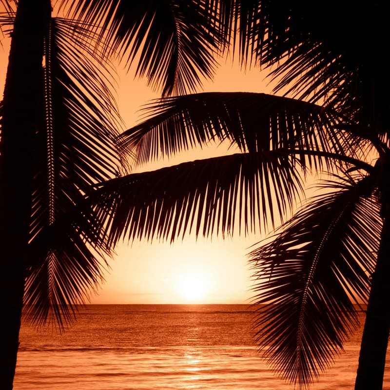 Cover Image for Miami HR Executive Dinner with HR Elevate