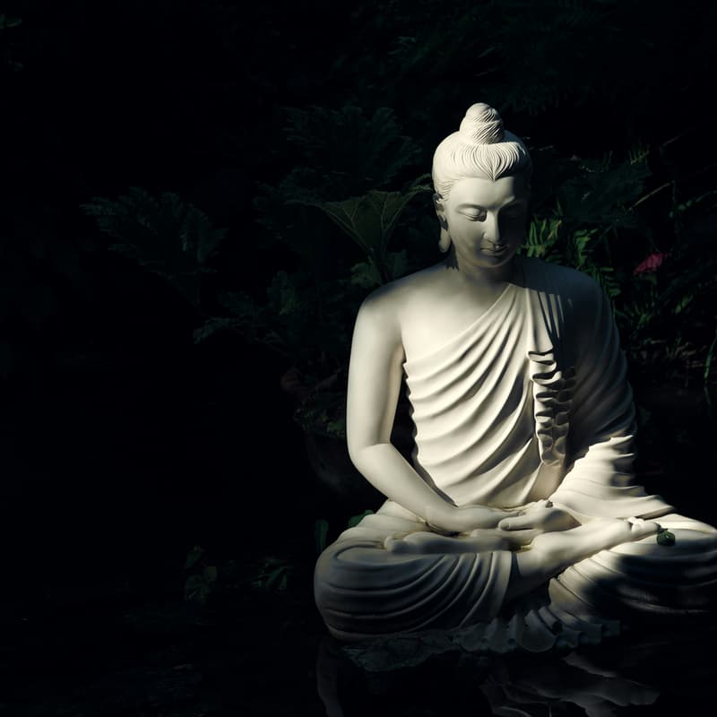 Cover Image for AI and Buddhism - Meet and Greet