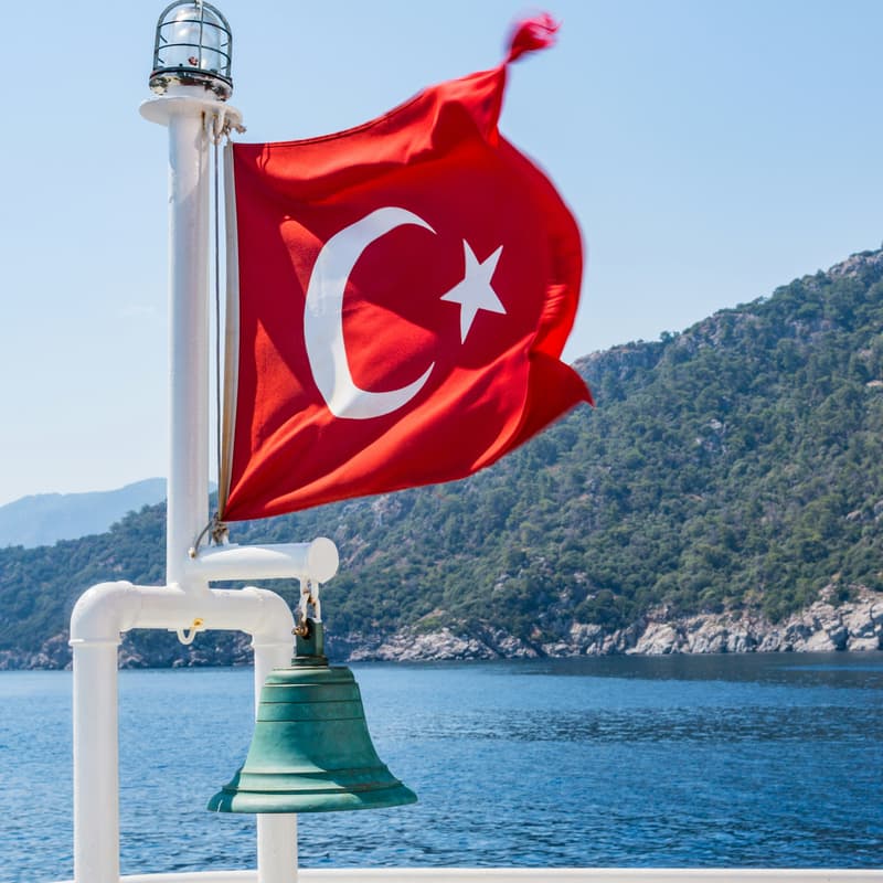 Cover Image for Turkish Language