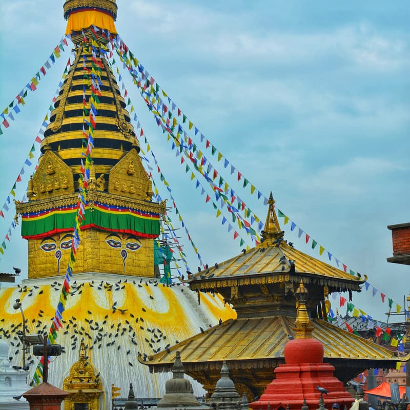 Cover Image for 🇳🇵NYF Olgapuri Trekathon
