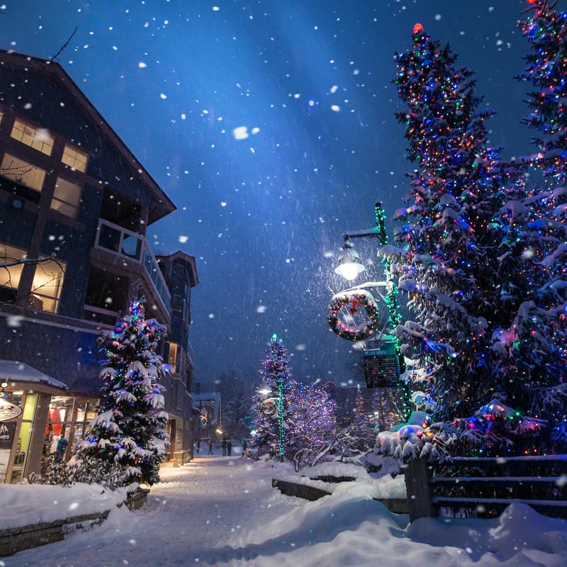 Cover Image for Denver ~ Talent Collective Holiday Happy Hour