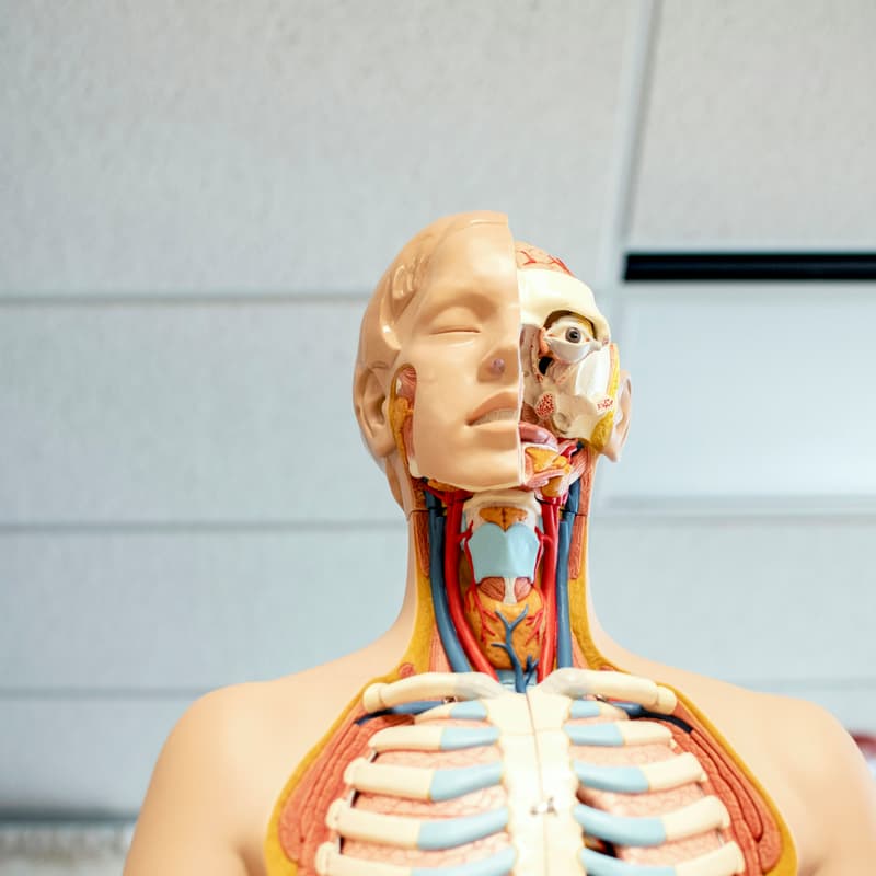 Cover Image for Queen Mary MedTech and DeepTech Showcaser