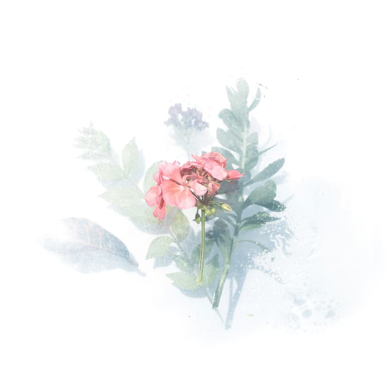 Cover Image for Watercolor w/ Jemimah