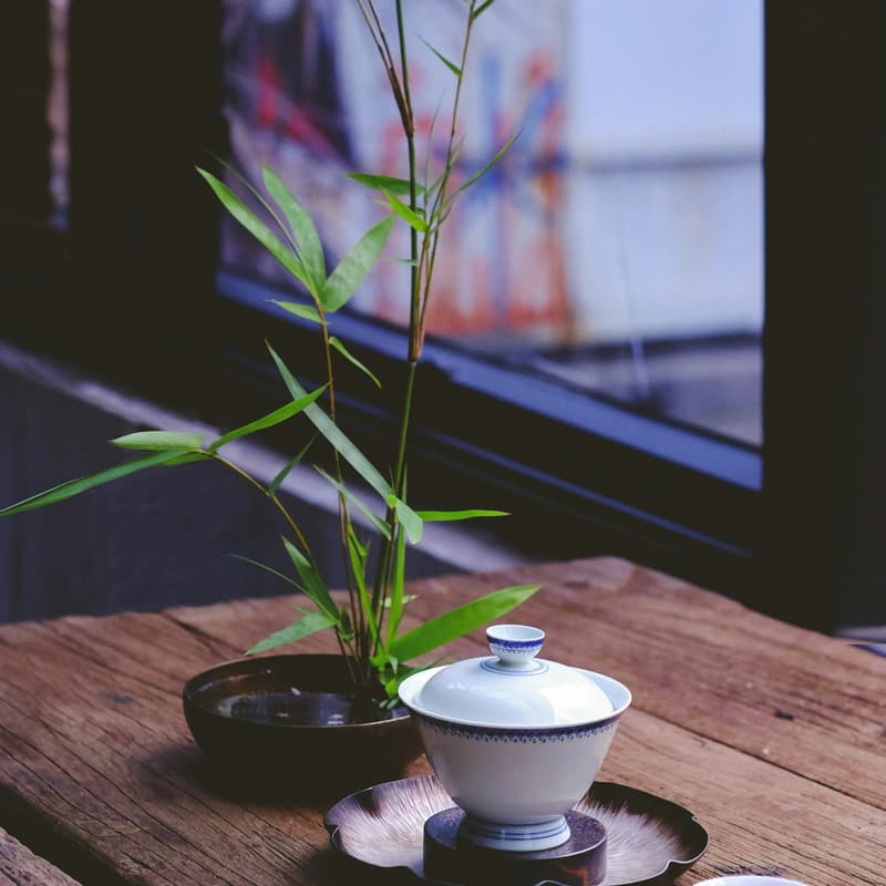 Cover Image for EA NYC Vegan Dim Sum