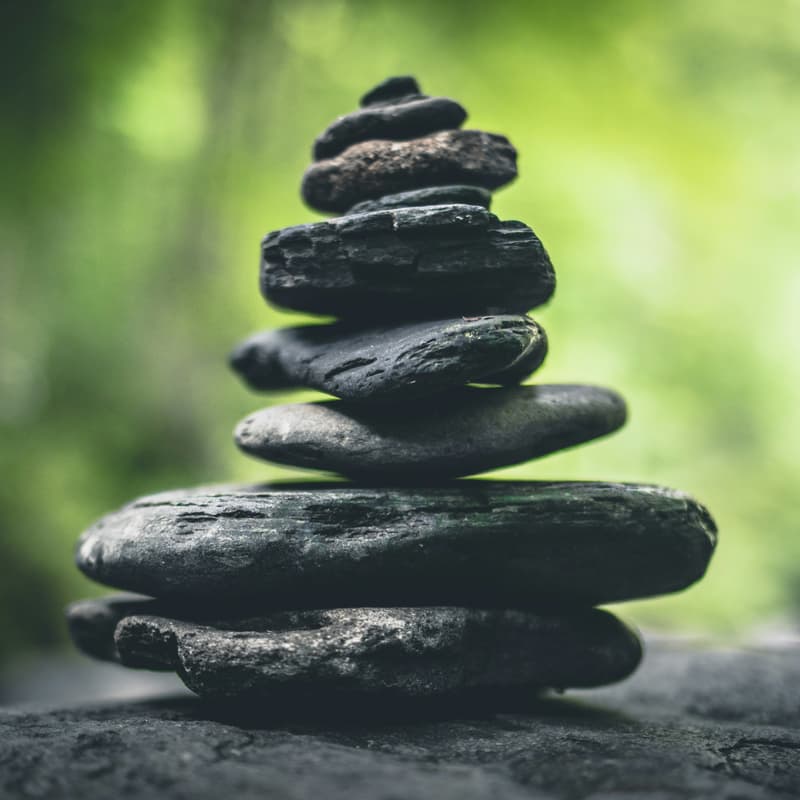 Cover Image for The Journey to Mindfulness with Lhasha Tizer - 7/25/2026