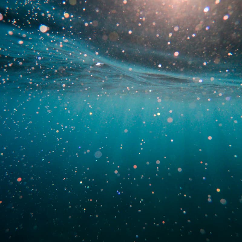 Cover Image for Marine Carbon Dioxide Removal and U.S. Policy: What Decision-Makers Need to Know