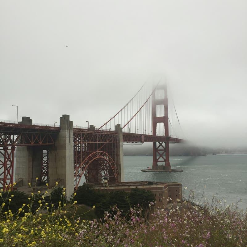 Cover Image for SF/LA/SEA Founder Mixer - Presented by Aceocial