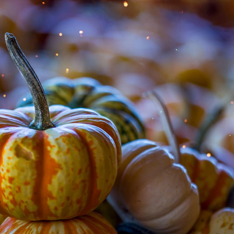 Cover Image for Wellness Wednesday: Caldo & Crafts