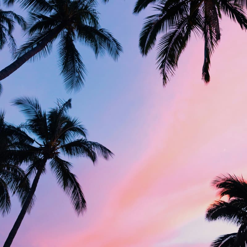 Cover Image for Private GenAI Leaders Dinner | Palm Beach