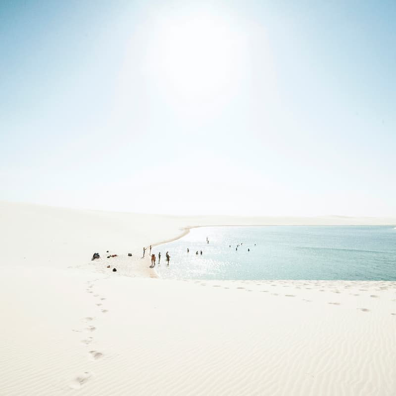 Cover Image for The Collabyrinth: Connecting To Your Oasis Moment