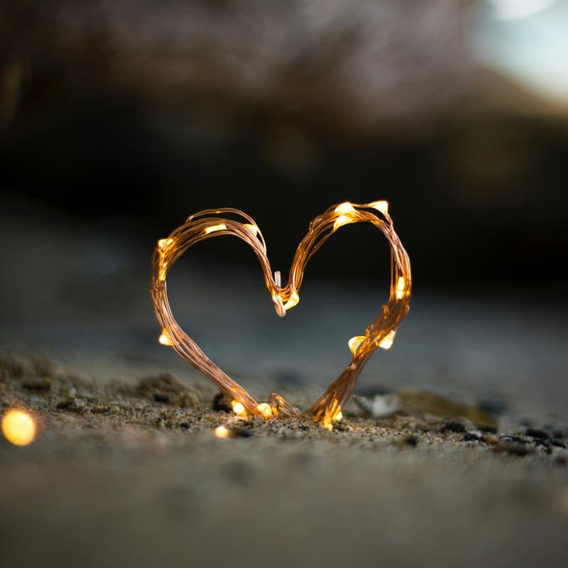Cover Image for Sisters Guest Halaqa: Understanding the Heart