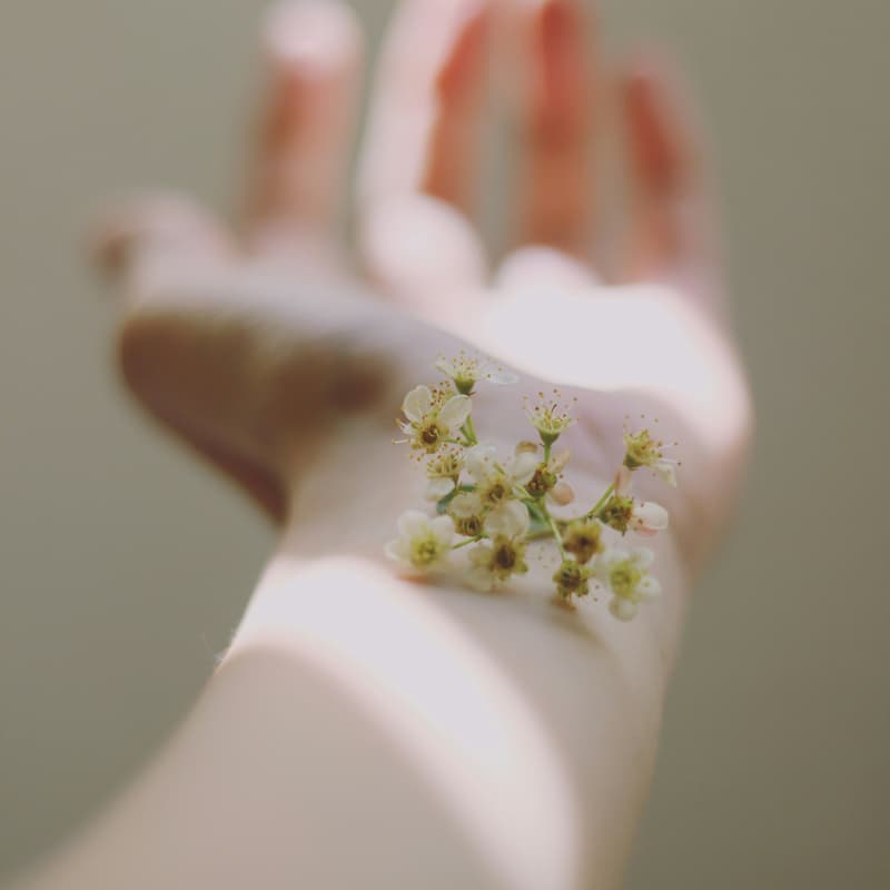 Cover Image for sacred feminine healing circle ♡