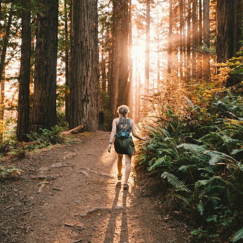 Cover Image for Life Science Hikers: Boston Edition - September Hike