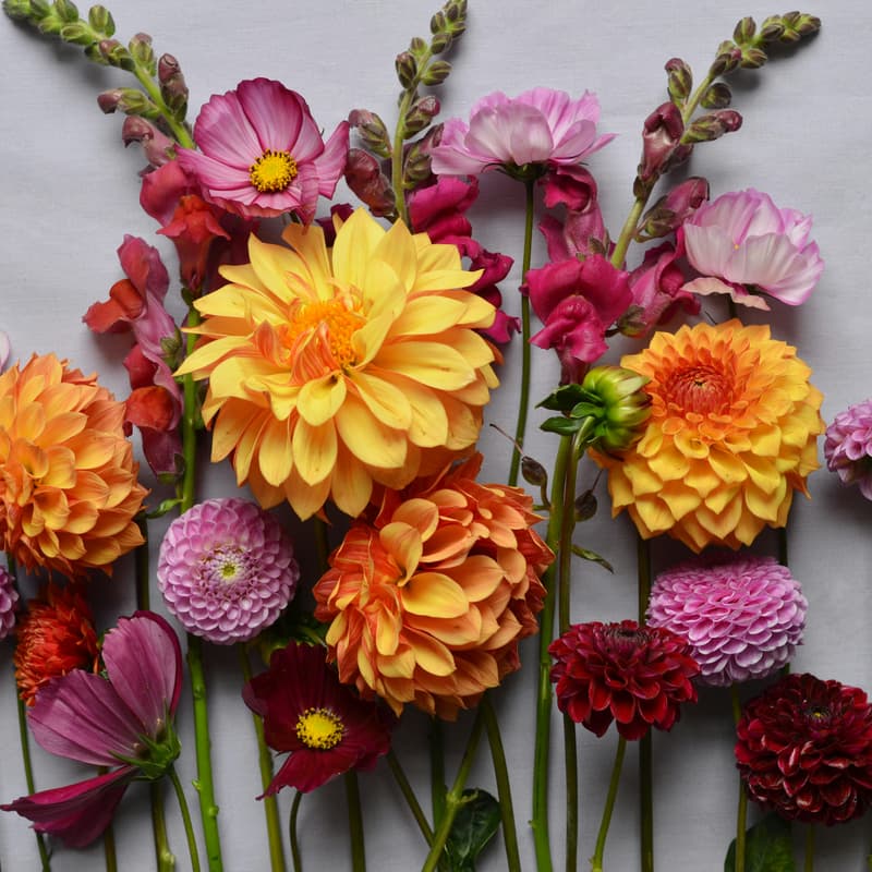 Cover Image for JUNE BLOOM DIY FLOWER BOUQUET!