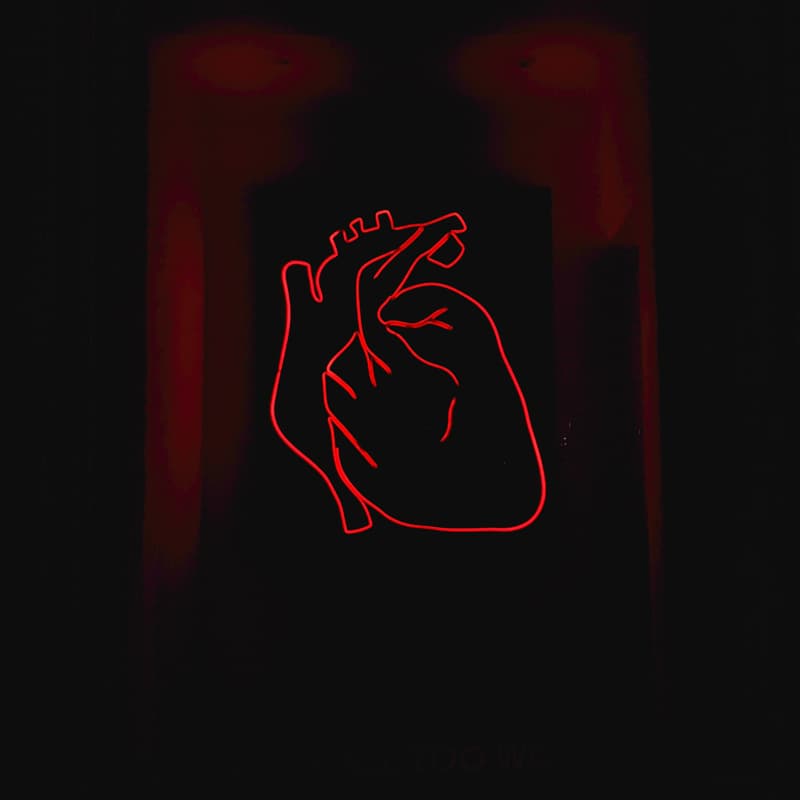 Cover Image for First Principles #3: The Algorithm of Your Heart