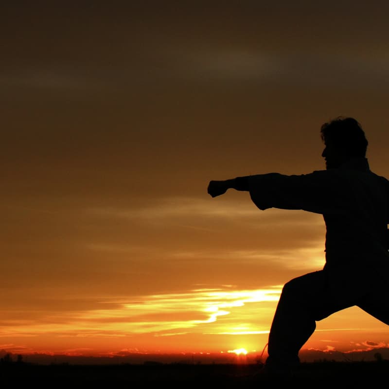 Cover Image for 【Kungfu Class】Baduanjin Practice 八段锦练习