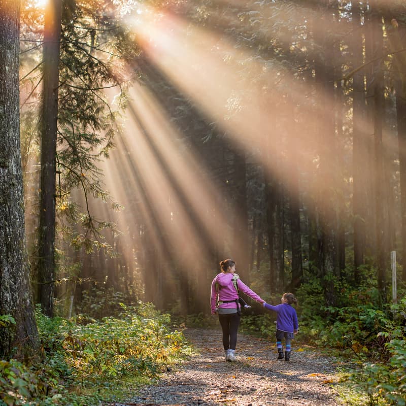 Cover Image for Walk and Discover: Biodiversity
