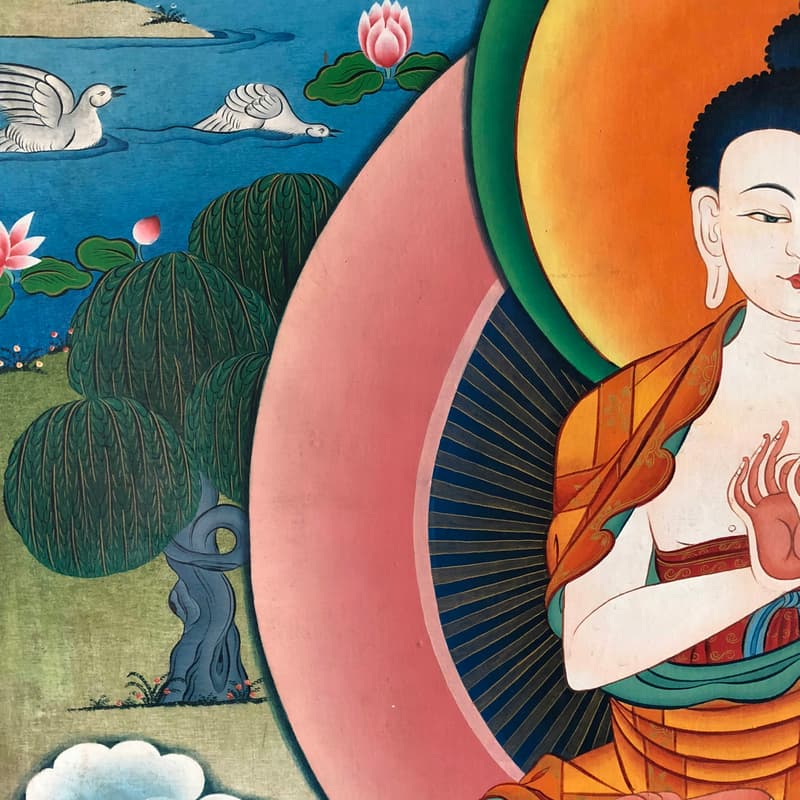 Cover Image for Jhana Collective