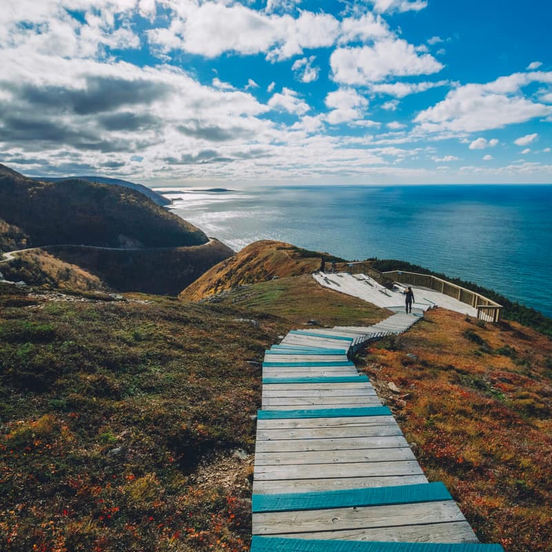 Cover Image for Point Reyes Point Lighthouse + Elephant Seal Chimney Rock Trail Hike