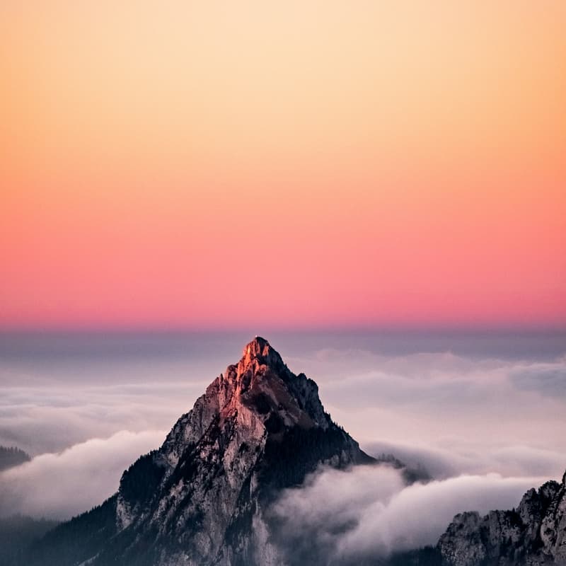 Cover Image for Golden Hour Highs: Saint Mark's Summit
