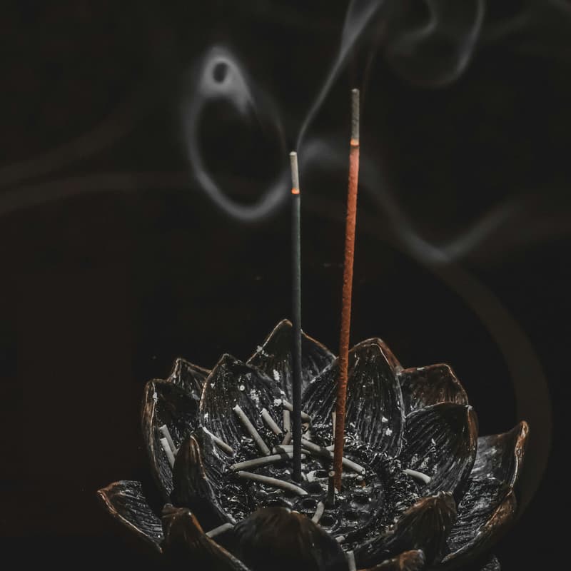 Cover Image for Hotboxing with Shaykh (Open Office Hours)