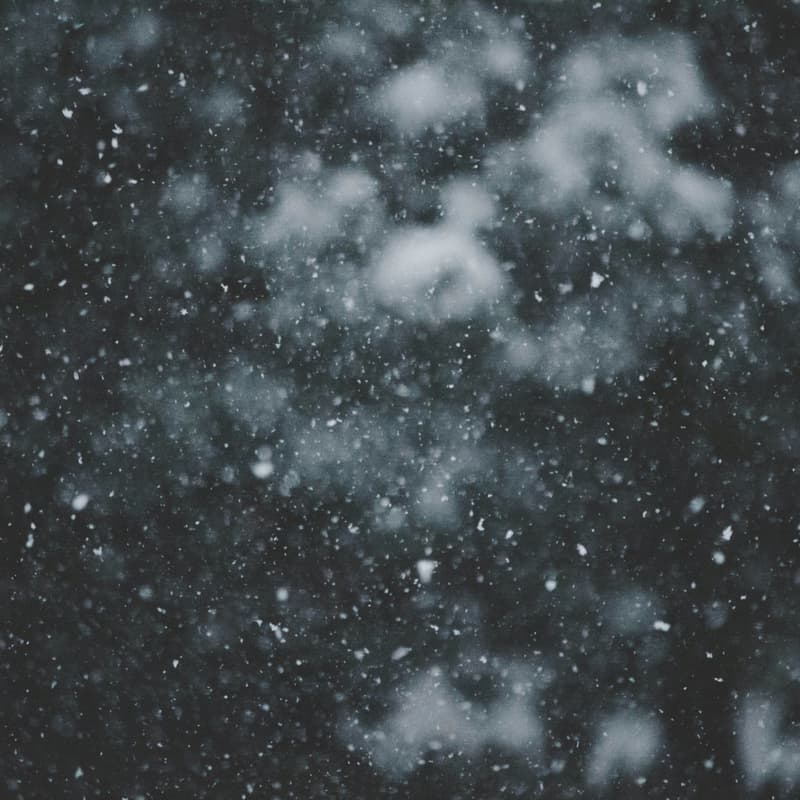 Cover Image for IT'S SNOWING Art Show