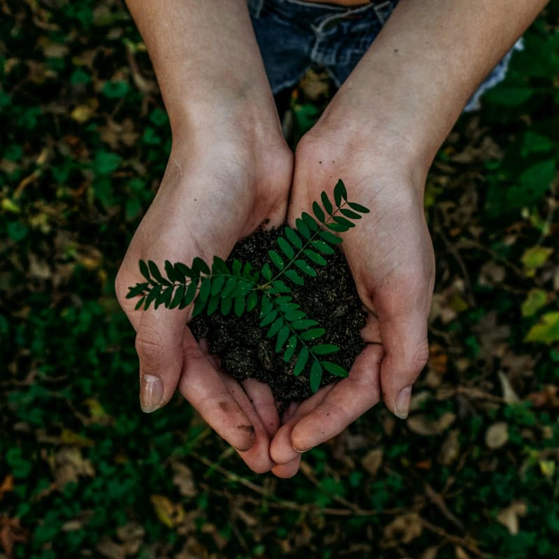 Cover Image for Celebrate, Connect, and Cast a Vision: Future Climate Collective's End of School Year Showcase!