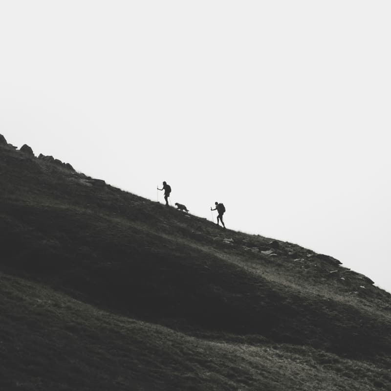 Cover Image for Solace to Serenity: Community Hike