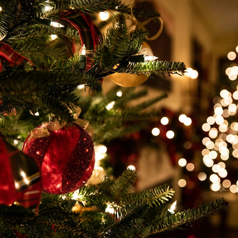 Cover Image for The Holiday Social