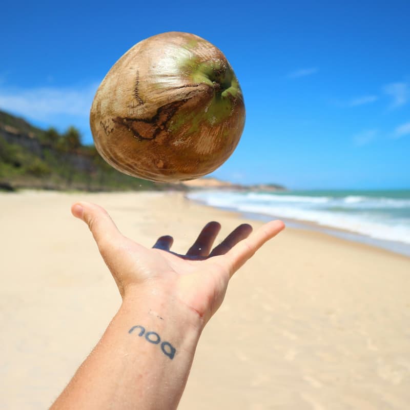 Cover Image for Reversed Coconuts Launch Party