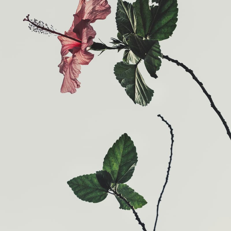 Cover Image for 「形見」人生．生活整理工作坊