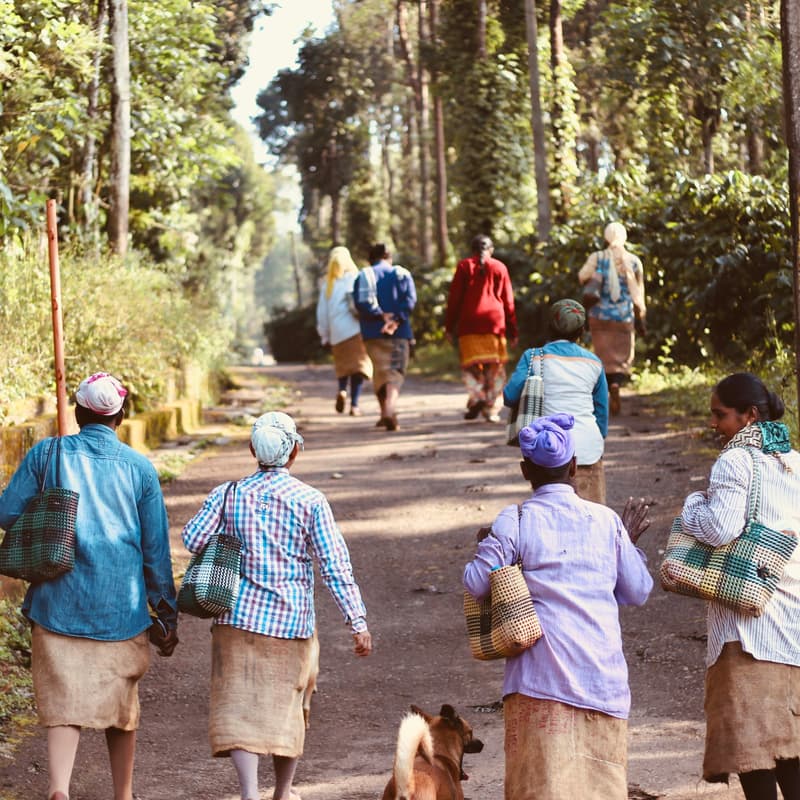 Cover Image for Can Community-Led Conservation Actually Scale?