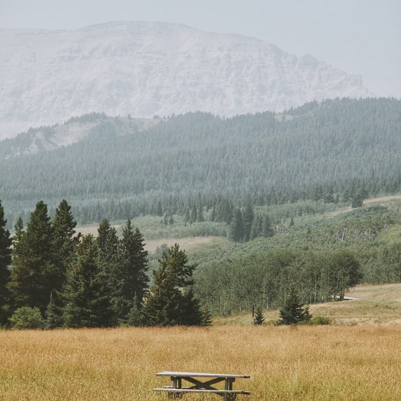 Cover Image for Picnic Set-up