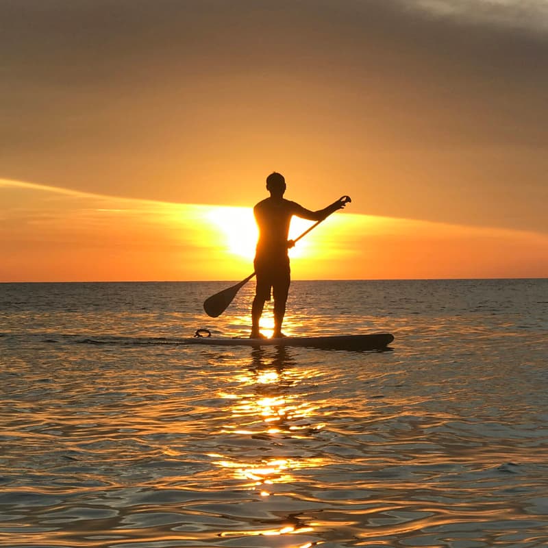 Cover Image for Sunrise Paddleboarding