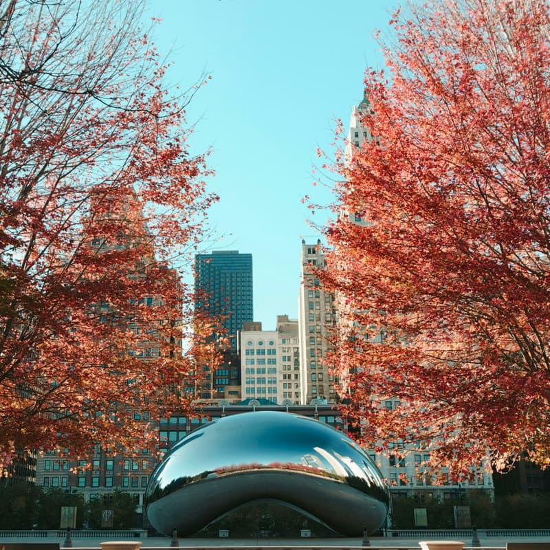 Cover Image for Chicago Grassroots Tech Community Meetup - February