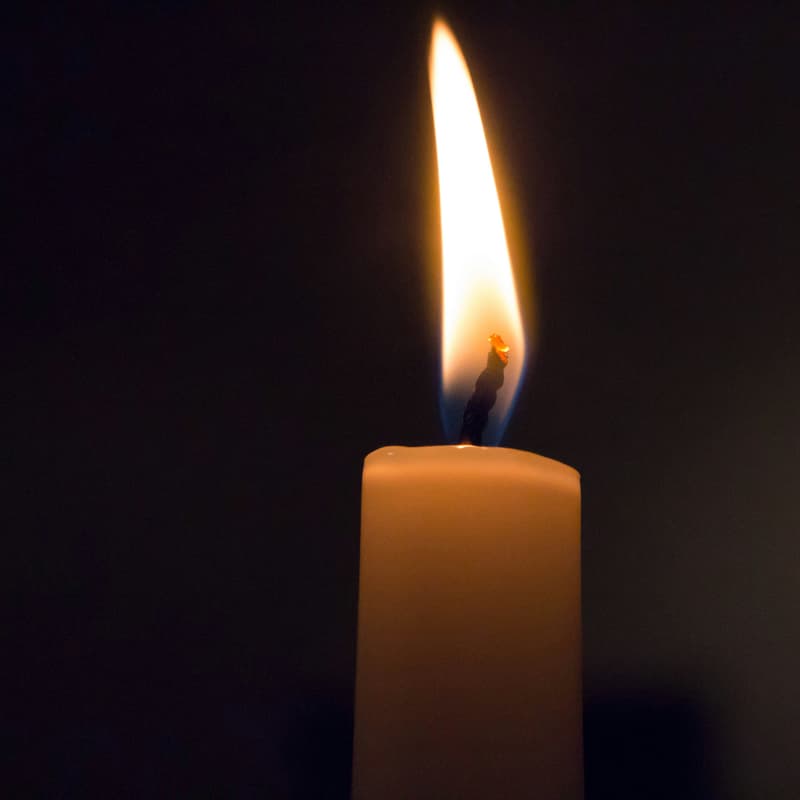 Cover Image for Hand-Dipped Beeswax Candle Making Workshop