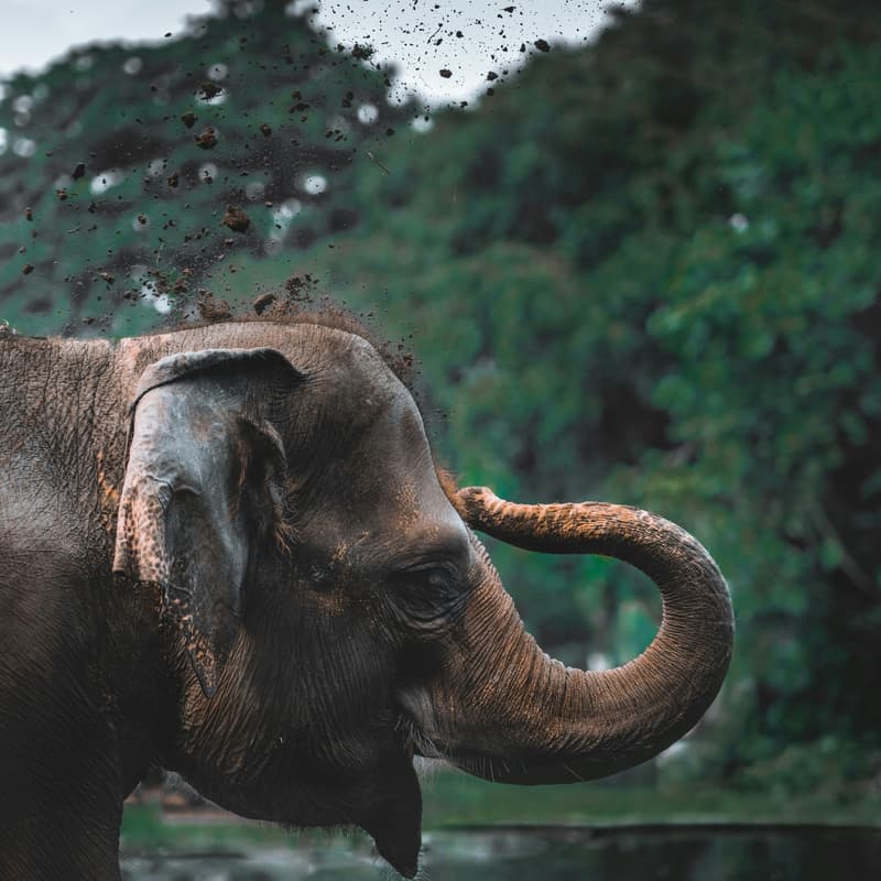 Cover Image for PostgreSQL and ClickHouse, Better Together