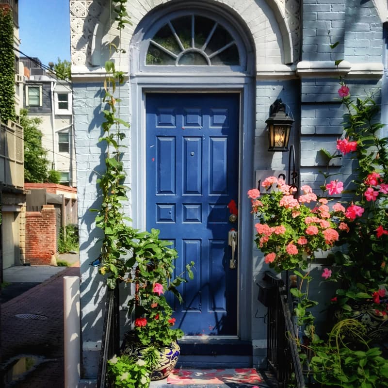 Cover Image for 🚪 Pre-Debate Doorknocking