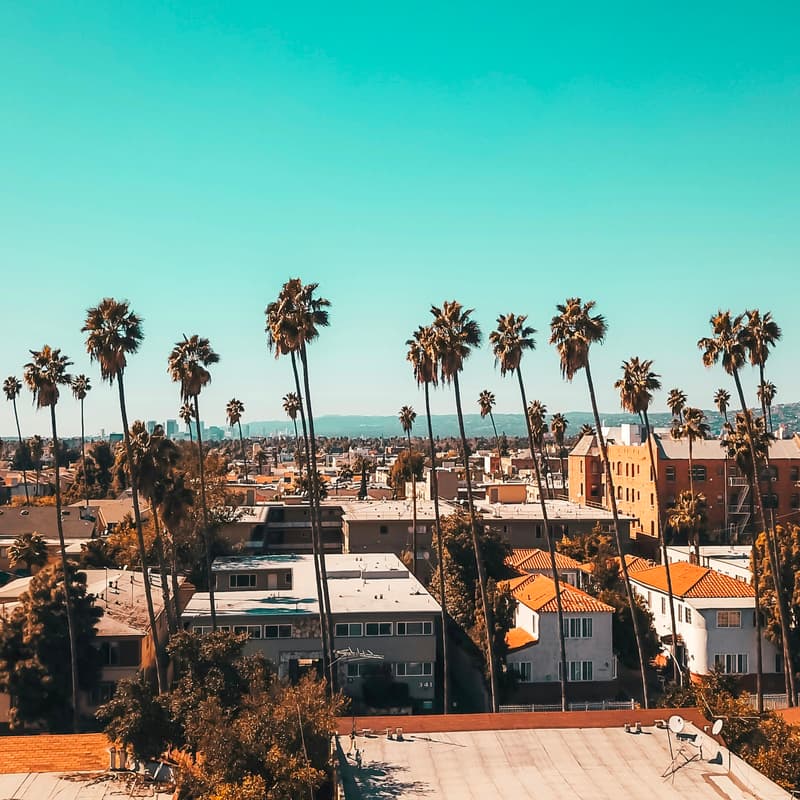 Cover Image for Alphas Connect, Los Angeles