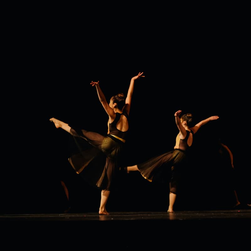 Cover Image for Erin's Ballroom Dancing Competition