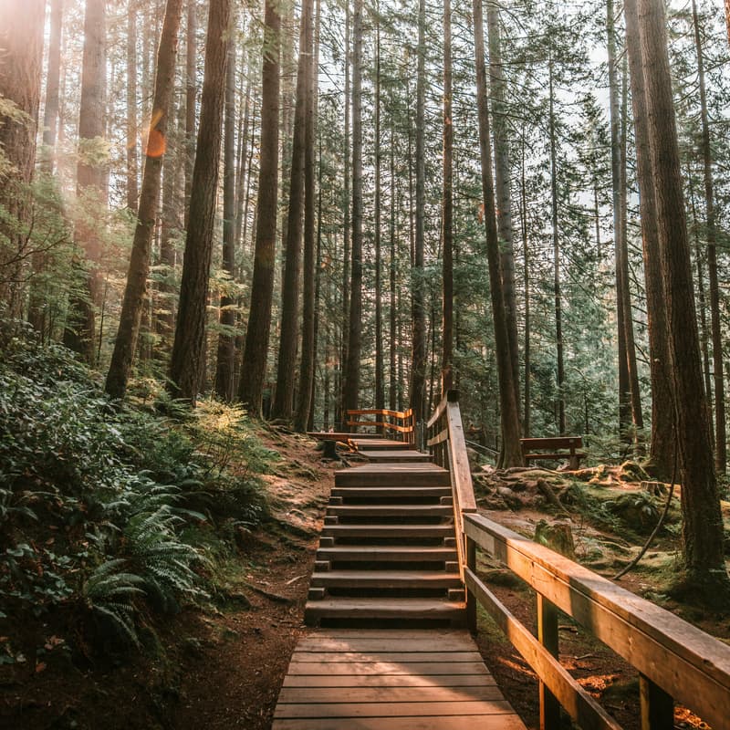 Cover Image for BitcoinWalk Vancouver #1