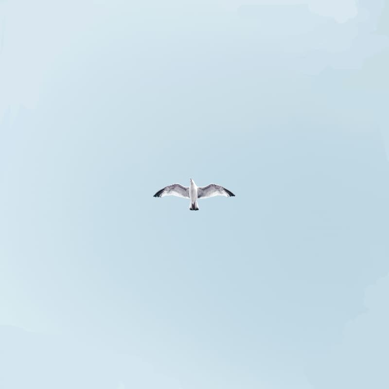 Cover Image for On Simplicity
