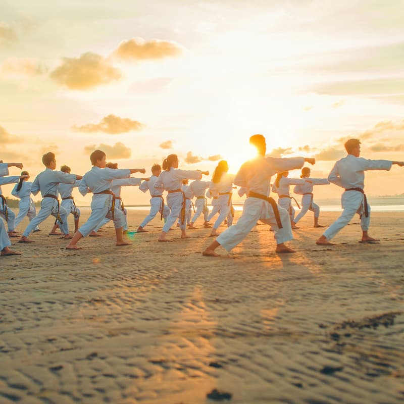 Cover Image for Martial Arts Training
