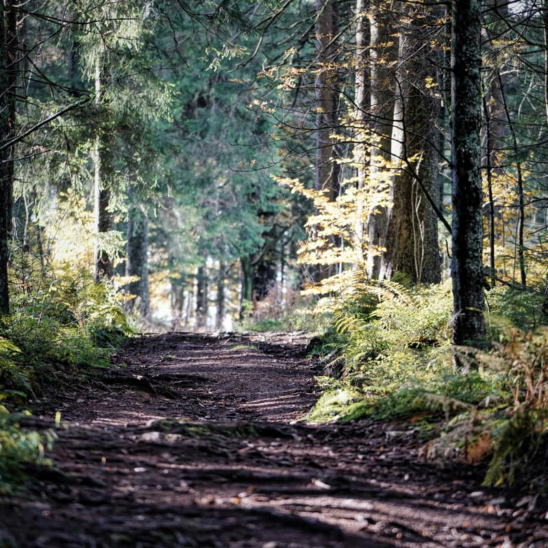 Cover Image for SF Startup Community Hike