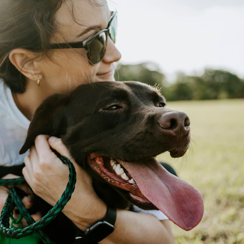 Cover Image for Valentine’s Day Fun: A Tech-Free Escape for Pet Lovers