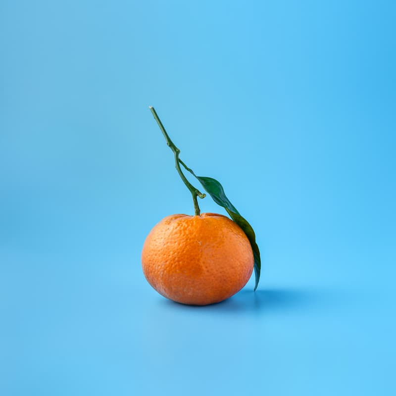 Cover Image for Ensuring dignity and access to healthy food in Oxford in the cost of living crisis