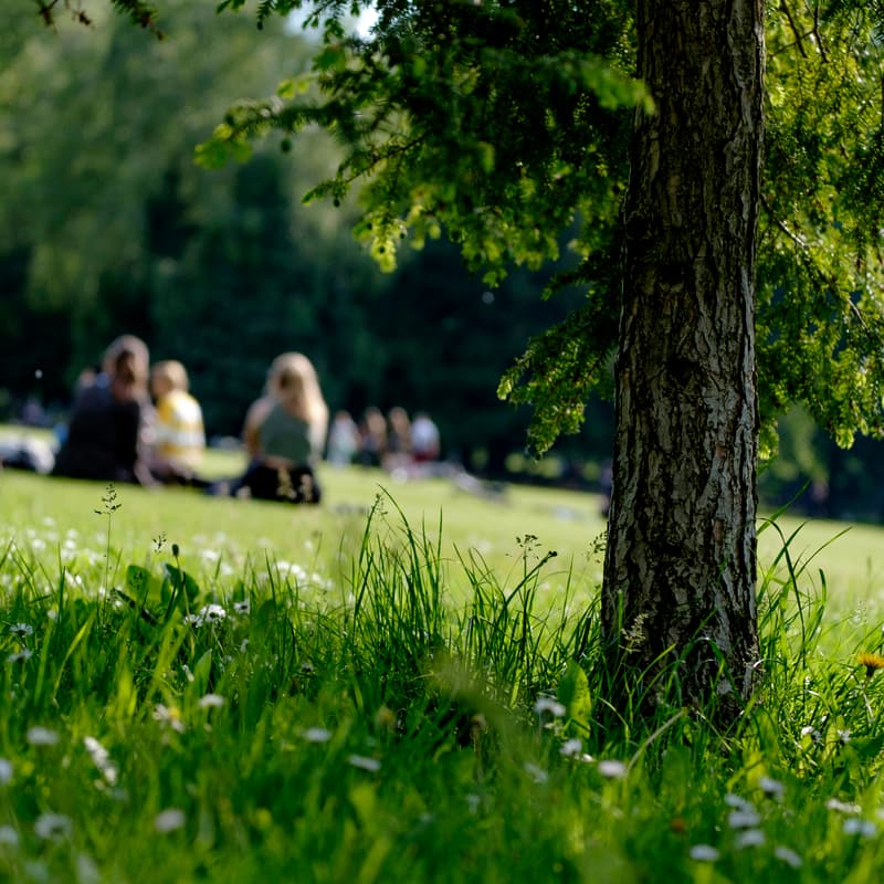 Cover Image for Climate Resilient Grads Winter Picnic