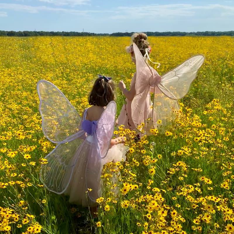 Cover Image for Fairy Wings Workshop